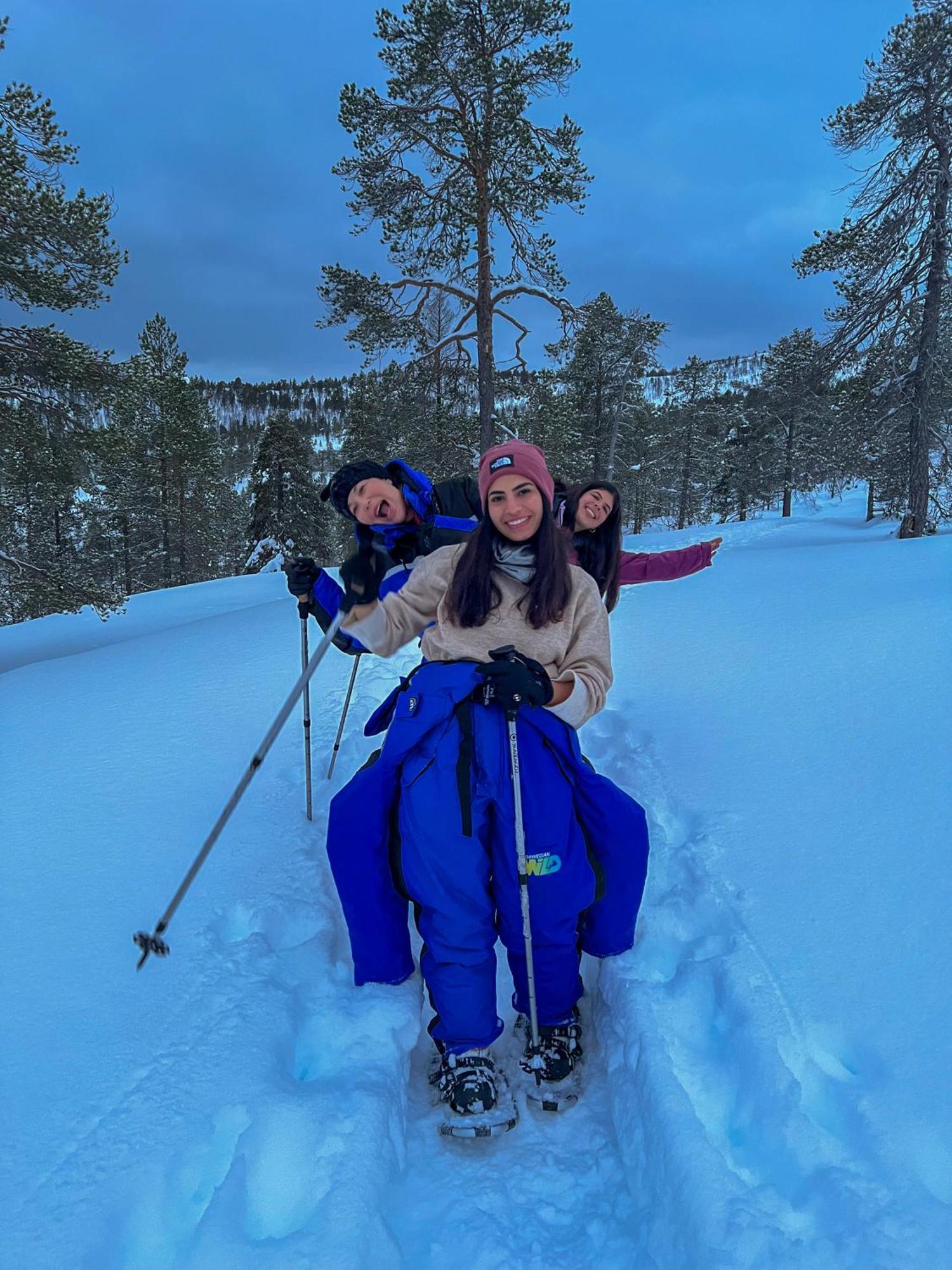 Norwegian Wild Villa Brygghaugen Eksteriør billede